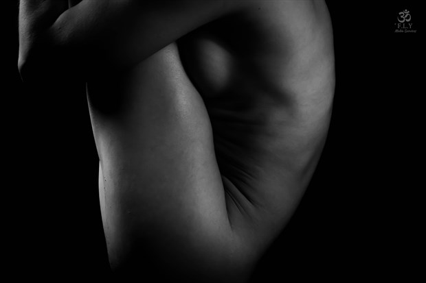 Side Body Artistic Nude Photo by Photographer FLY Media Services