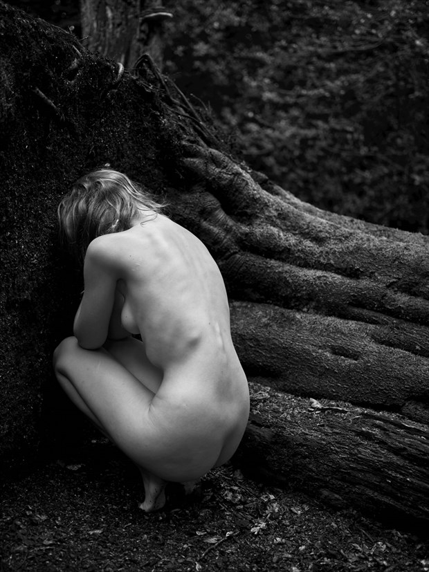 Sienna Forest 1 Nature Photo by Photographer Daniel Hubbert