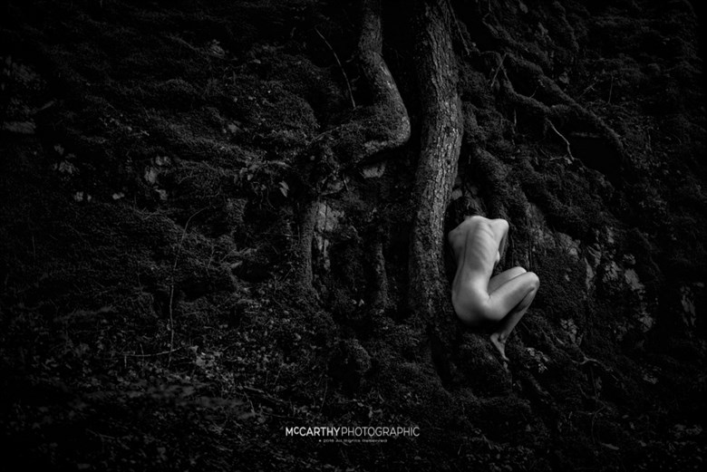 Sienna in Nature %23 1 Artistic Nude Photo by Photographer McCarthyPhoto