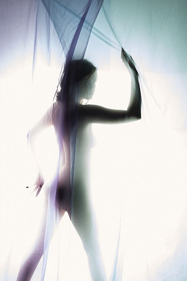 Silhouette Implied Nude Photo by Model Helen Troy