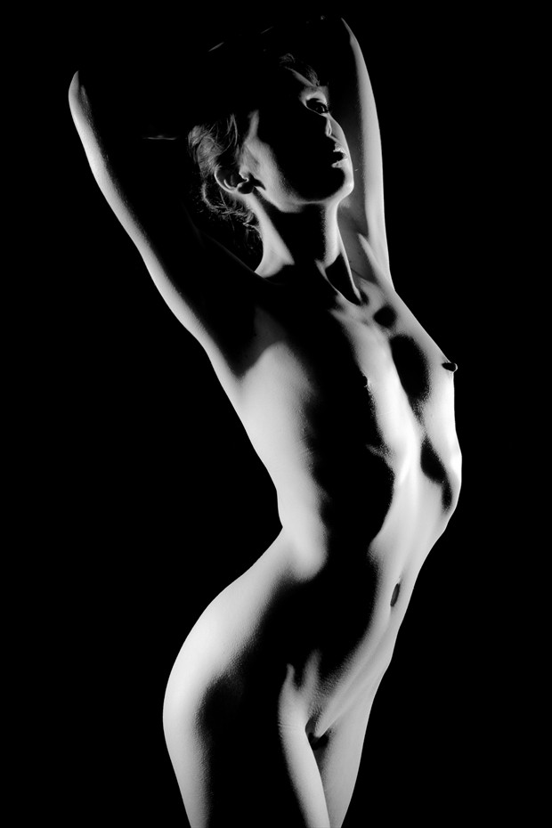 Silverline Artistic Nude Photo by Photographer Jakz