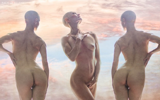 Skin deep Artistic Nude Photo by Photographer balm in Gilead