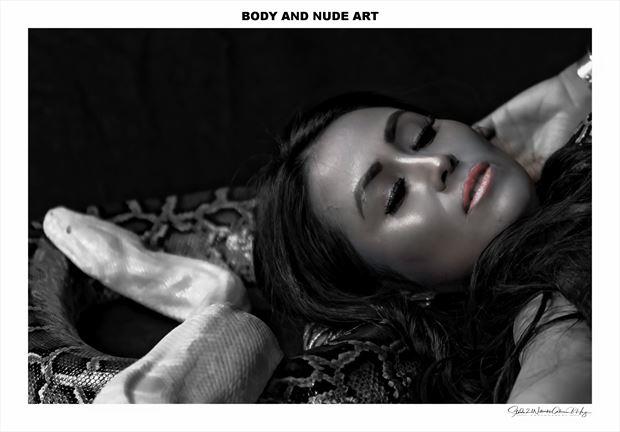 Sleeping beuty Artistic Nude Photo by Photographer Studio21networks