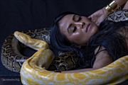 Sleeping with snakes Artistic Nude Photo by Photographer Studio21networks