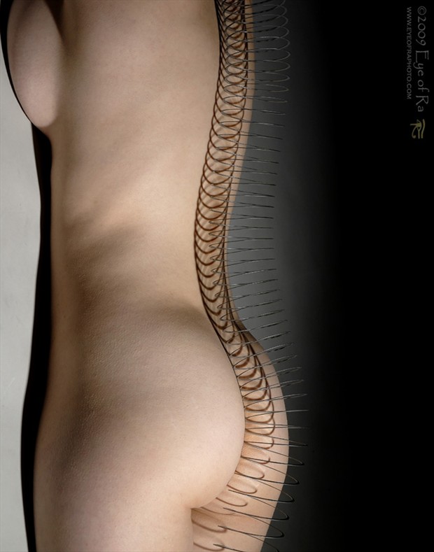 Slinky Artistic Nude Photo by Photographer Eye of Ra Photography