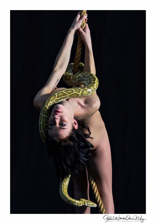 Snake business Artistic Nude Photo by Photographer Studio21networks