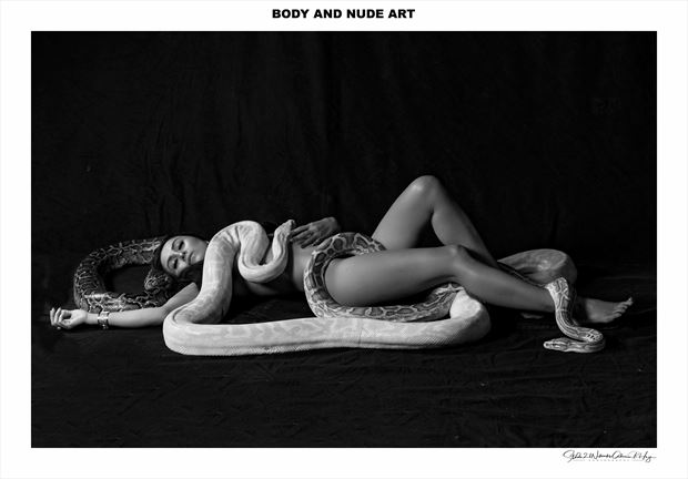 Snakes are keeping warm :) Artistic Nude Photo by Photographer Studio21networks