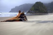 Solo, female nude, reclining on driftwood tree, at seaside. Artistic Nude Photo by Photographer Larry