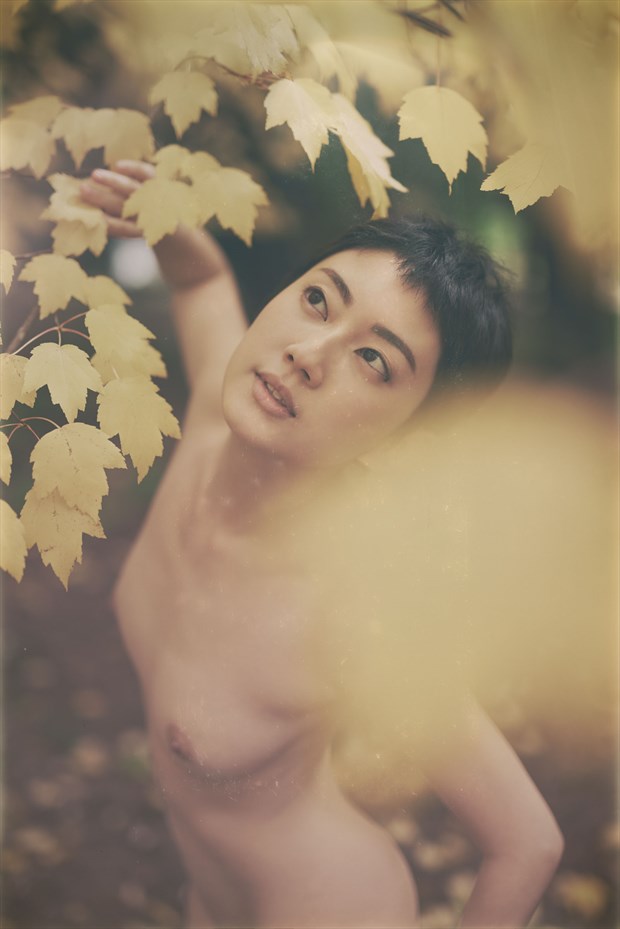 Sonya   Autumn Leaves Artistic Nude Photo by Photographer Keith Persall