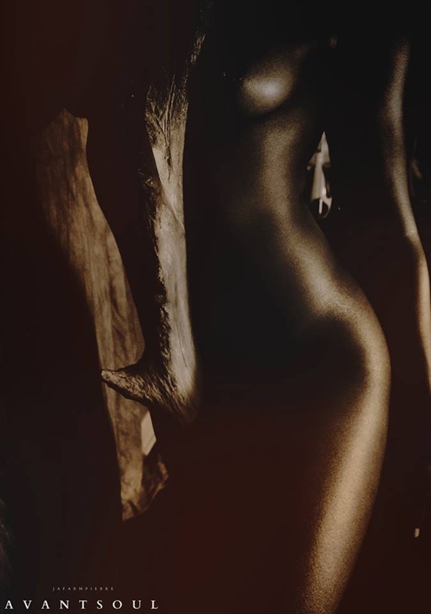 Soul Artistic Nude Photo by Photographer JAFAR M PIERRE