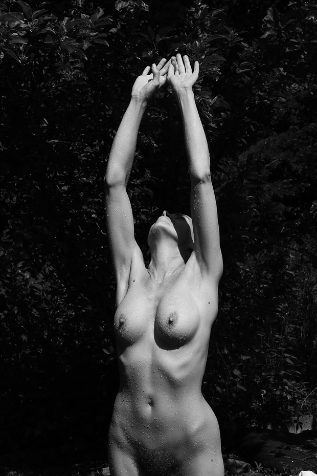 Soulscapes 124 Artistic Nude Photo by Photographer Iroiseorient