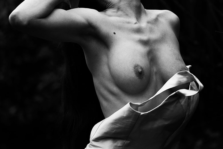 Soulscapes 15 Artistic Nude Photo by Photographer Iroiseorient
