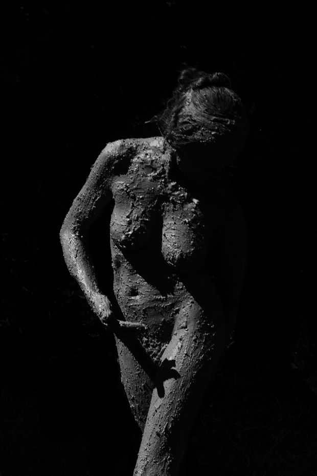 Soulscapes 184... Artistic Nude Photo by Photographer Iroiseorient