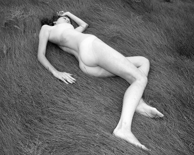 Spartina siesta Artistic Nude Photo by Photographer silverline images