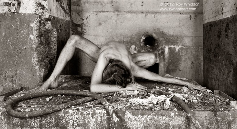 Spider Artistic Nude Photo by Photographer Roy Whiddon