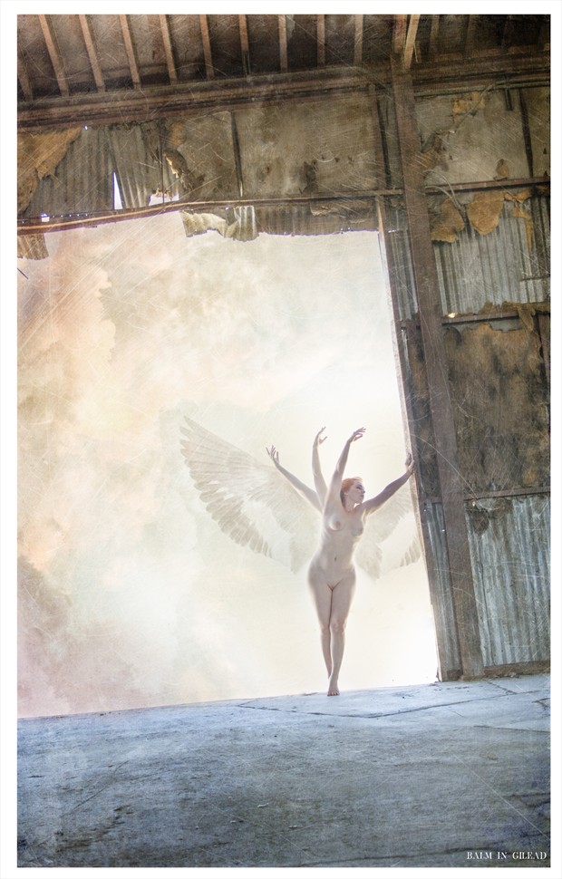 Spread thy wings Artistic Nude Photo by Photographer balm in Gilead