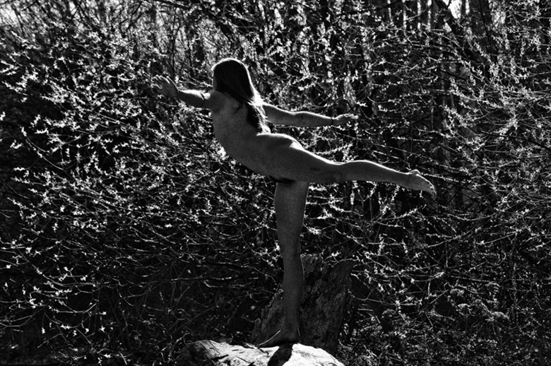 Spring Yoga Artistic Nude Artwork by Photographer patrickclark
