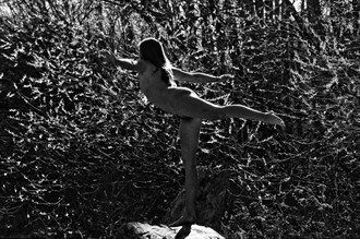 Spring Yoga Artistic Nude Artwork by Photographer patrickclark