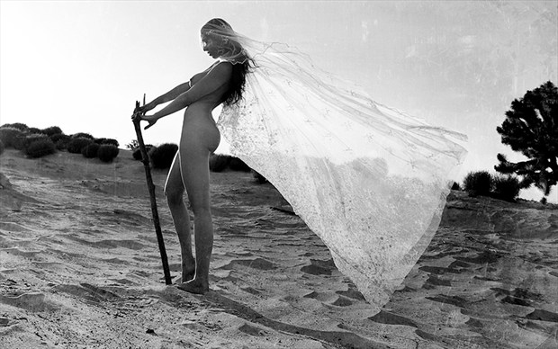 Standing in the Wind Artistic Nude Photo by Model Sekaa
