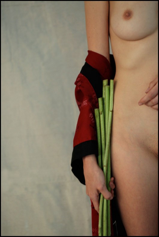 Stems Artistic Nude Artwork by Photographer Vicente Mulholland 