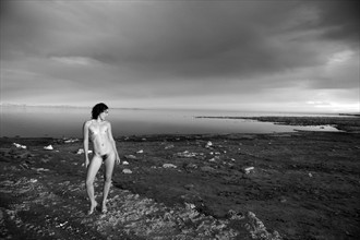Stephanie Artistic Nude Photo by Photographer daxwax