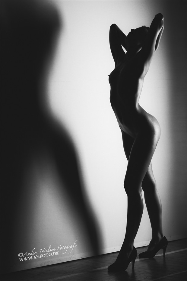 Streched II Artistic Nude Photo by Photographer Anders Nielsen