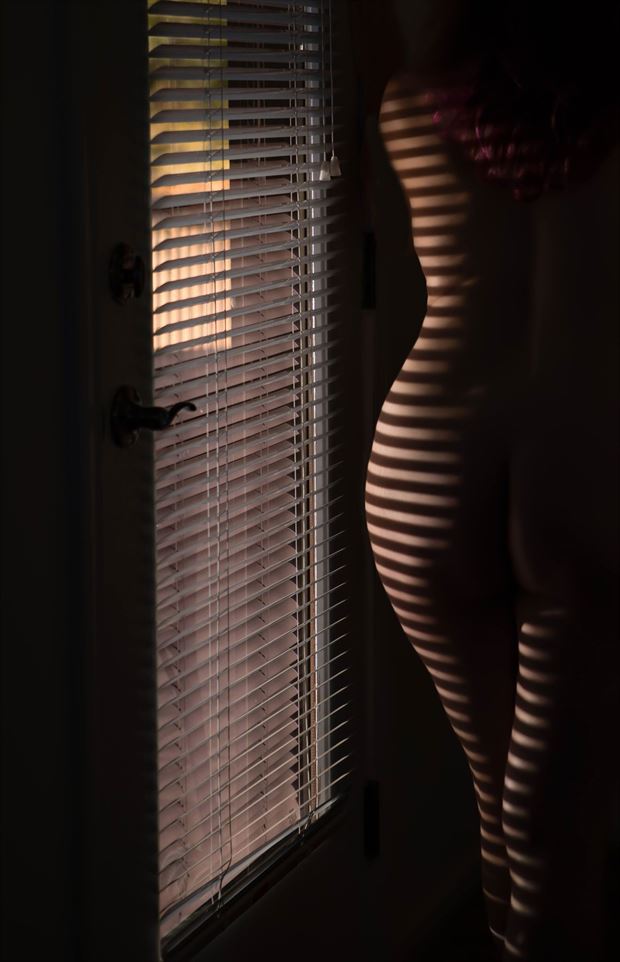 Striped Artistic Nude Photo by Model ZushkaBiros