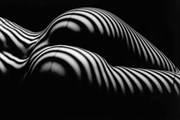 Striped Butt  Artistic Nude Photo by Photographer Perfect foto