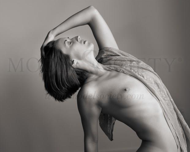 Strong curves Artistic Nude Photo by Photographer Bill Irwin