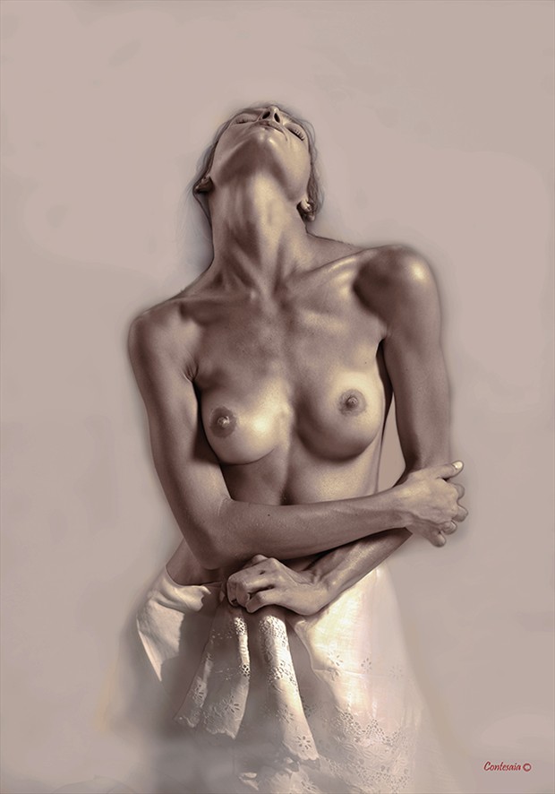 Studio 14 Artistic Nude Artwork by Artist Contesaia