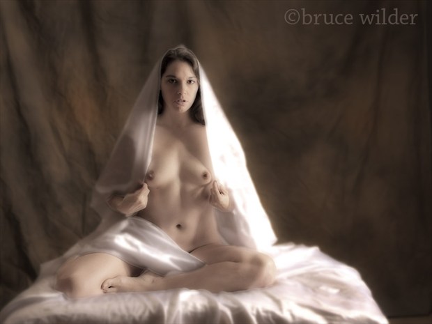 Studio 7C Artistic Nude Photo by Photographer Bwilder