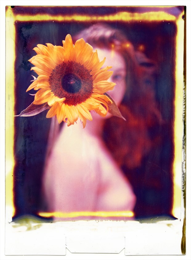 Sunflower Polaroid Artistic Nude Photo by Photographer RayRapkerg