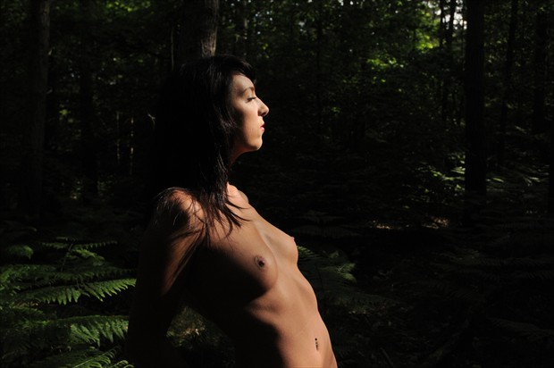 Sunlit Artistic Nude Photo by Photographer jon daly