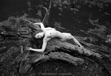 Sunset Crater Artistic Nude Photo by Model Stilt