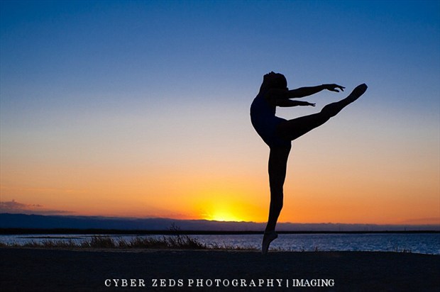 Sunset Dance Nature Photo by Photographer Cyber Zeds