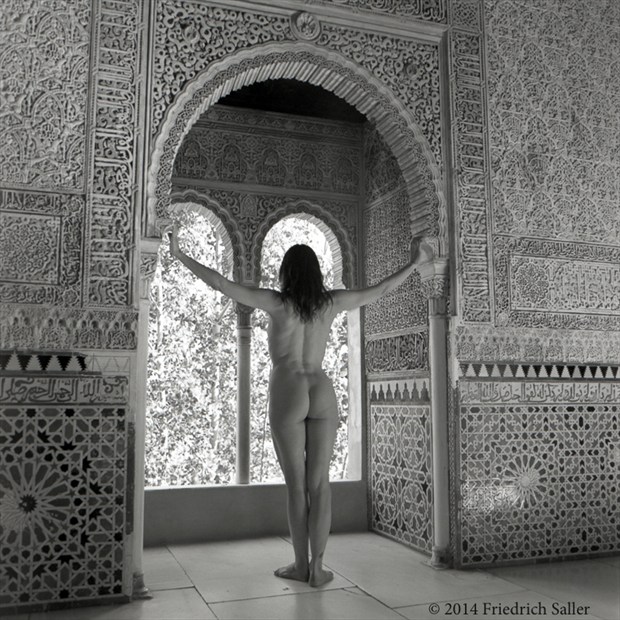 Supporting the Light Artistic Nude Photo by Photographer Friedrich Saller
