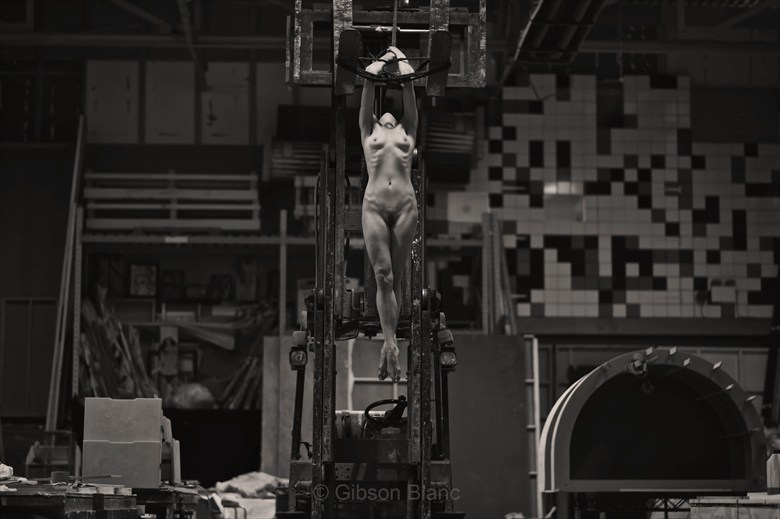 Suspended Artistic Nude Photo by Photographer Gibson