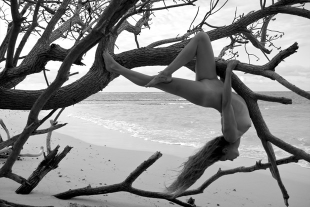 Suspended in the Tree Artistic Nude Photo by Photographer Jason Tag