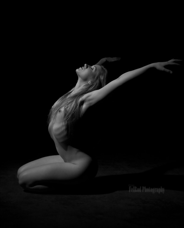 Swan Artistic Nude Photo by Photographer FelRod 