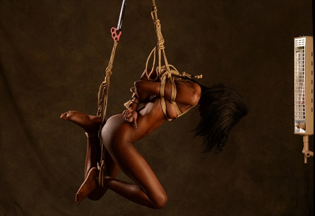 Swing and heat Artistic Nude Photo by Photographer Bent Photosmith