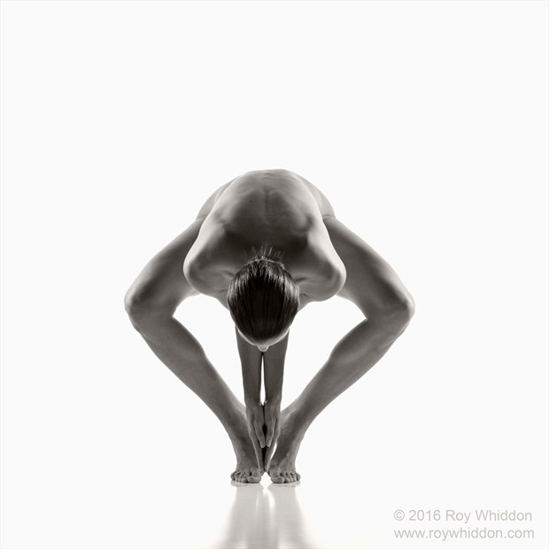 Symmetry III Artistic Nude Photo by Photographer Roy Whiddon
