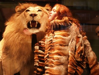 THE LION IN NYC Fashion Photo by Photographer ANY KINDA FOTO
