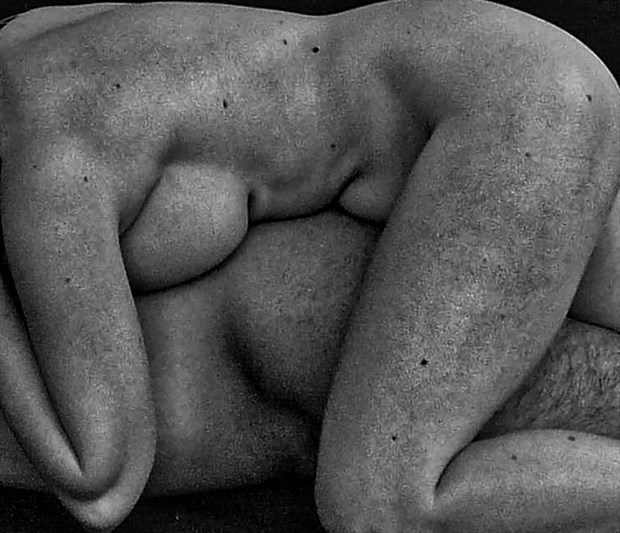 TORSOS I Artistic Nude Artwork by Photographer Vicente Mulholland 