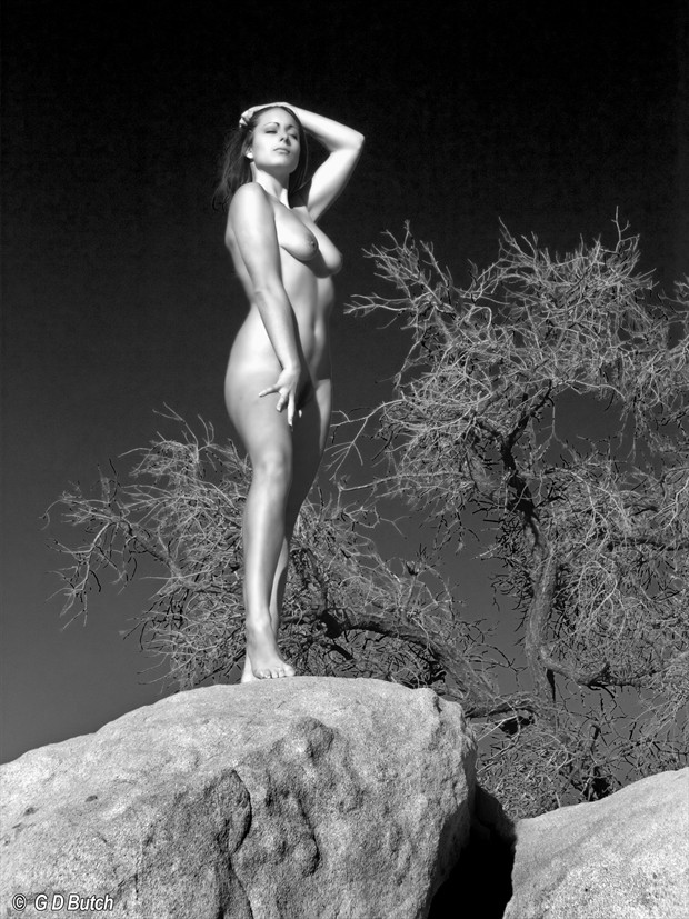 Tara in California. Artistic Nude Photo by Photographer George Butch