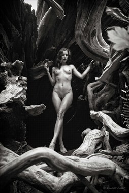 Temenos Artistic Nude Photo by Photographer Randall Hobbet