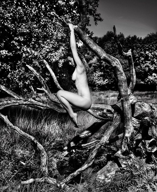 Tense Artistic Nude Photo by Photographer Poeticframe