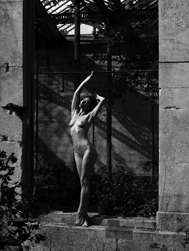 TessaG Artistic Nude Photo by Photographer Gibson