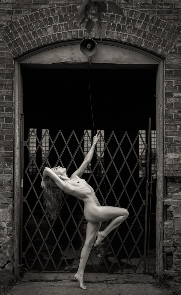 The Abandoned gate Artistic Nude Photo by Photographer Risen Phoenix