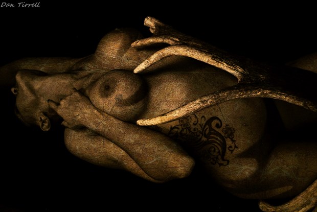 The Antler Artistic Nude Artwork by Photographer Daniel Tirrell photo