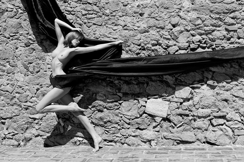The Arrow Artistic Nude Photo by Photographer Fabien ElleStudio